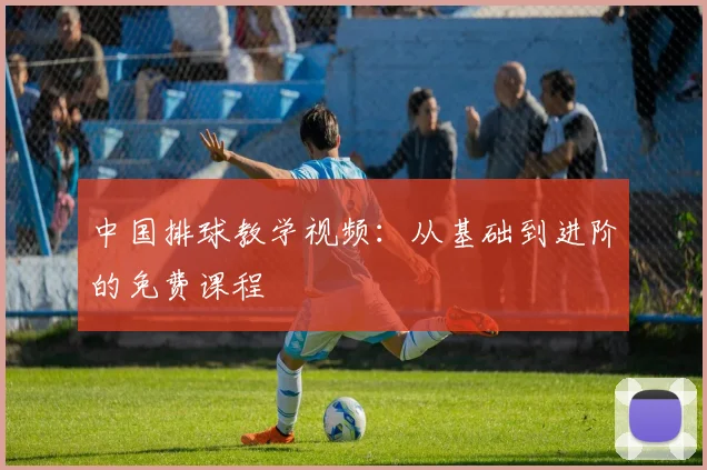 中国排球教学视频：从基础到进阶的免费课程