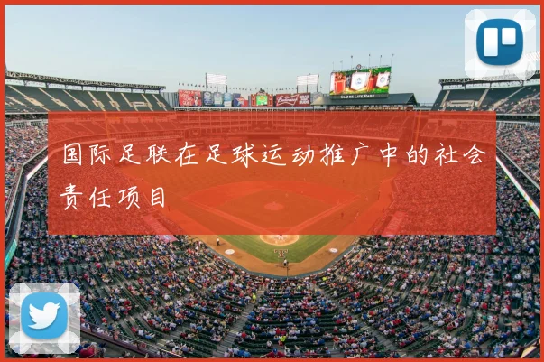 国际足联在足球运动推广中的社会责任项目