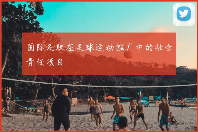 国际足联在足球运动推广中的社会责任项目